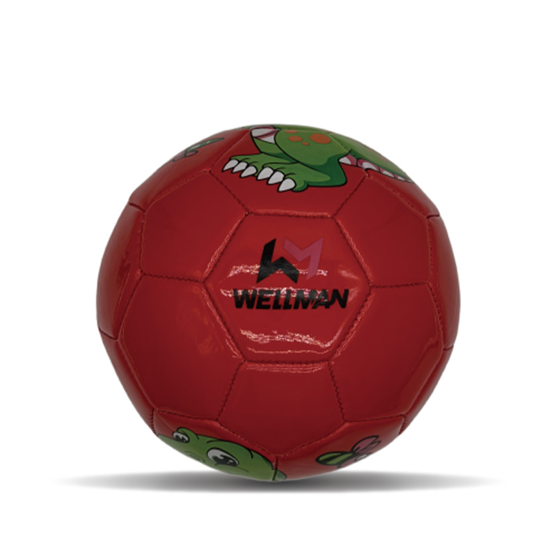 Machine Stitched PVC Mini Football Soccer Ball size 2 for Girls Boys Kids