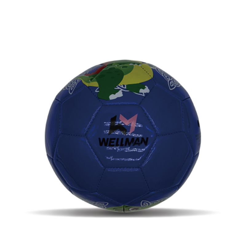 Machine Stitched PVC Mini Football Soccer Ball size 2 for Girls Boys Kids