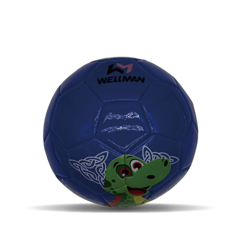 Machine Stitched PVC Mini Football Soccer Ball size 2 for Girls Boys Kids