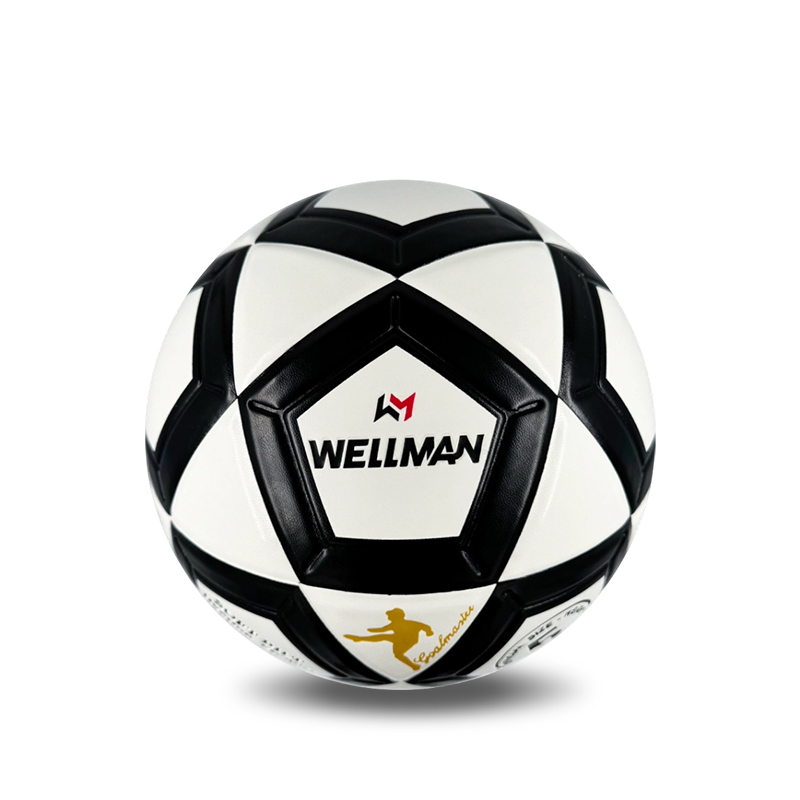 Custom Logo Pro Size 5 Soccer Ball | Match & Club Wholesale
